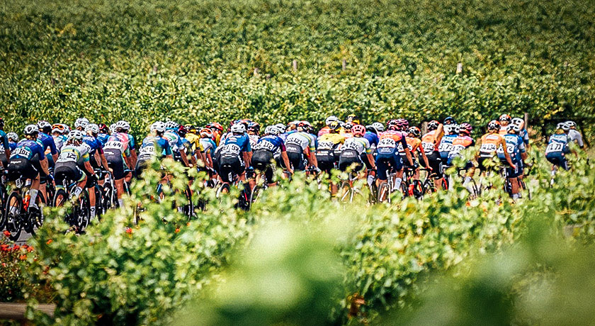 Teams + Riders